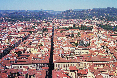 View from the tower